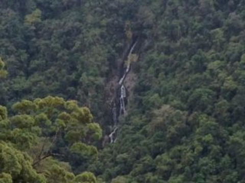 Kuranda Full-Day Small-Group Tour From Port Douglas - Hotel WA 9