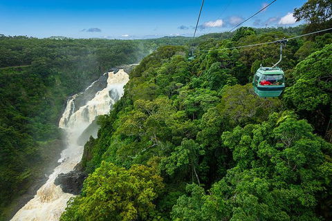 Kuranda Full-Day Small-Group Tour From Port Douglas - Hotel WA 13