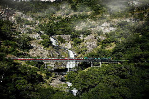Kuranda Full-Day Small-Group Tour From Port Douglas - Hotel WA 16