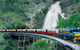 Kuranda Full-Day Small-Group Tour From Port Douglas - thumb 11