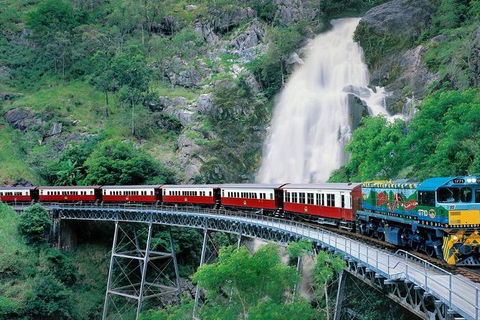 Kuranda Full-Day Small-Group Tour From Port Douglas - Hotel WA 11