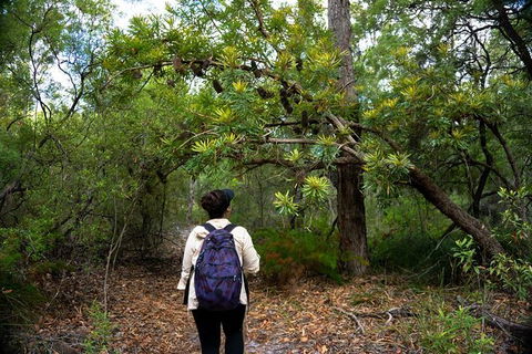 Pack-free Camping: Lake McKenzie Central Hike - 2 Days - Hotel WA 1