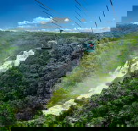 Skyrail Rainforest Cableway Day Trip from Port Douglas - Hotel WA