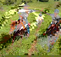 Country Day Ride from Mt Goomboorian with Rainbow Beach Horse Rides - Hotel WA