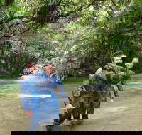 Mossman River Drift Snorkelling from Port Douglas or Mossman - Hotel WA