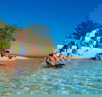 Half Day Low Isles Snorkelling Tour from Port Douglas - Hotel WA