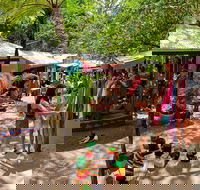 Kuranda Day Trip small group from Port Douglas by bus - Hotel WA