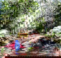 Rainforest Platypus Night Dive Certified Divers Only once day dive completed - Hotel WA