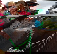 Mackay's Day in the Clouds Paddock to Plate Tour - Hotel WA