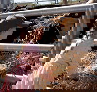 Mackay Farm Food and Flavours Tour - Hotel WA