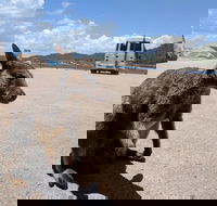 Magnetic Island Tour Maggie Comprehensive - Hotel WA