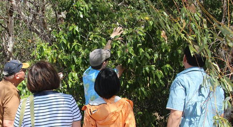 Magnetic Island Tour: Maggie Comprehensive - Hotel WA 6