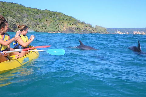 Half-Day Kayak With Dolphins And 4WD Beach Drive From Rainbow Beach - Hotel WA 1