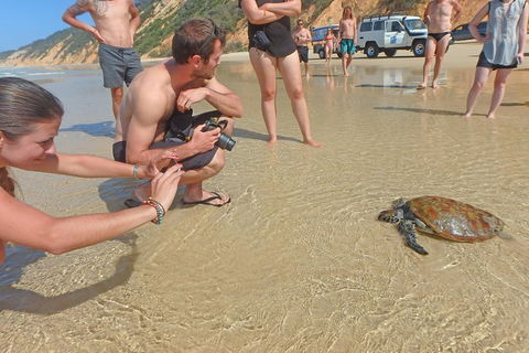 Half-Day Kayak With Dolphins And 4WD Beach Drive From Rainbow Beach - Hotel WA 11