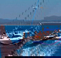 Blue Dolphin Exclusive Whale Watch Encounters - Hotel WA