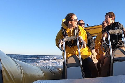 Noosa Oceanrider - Thrill Ride - Hotel WA 5