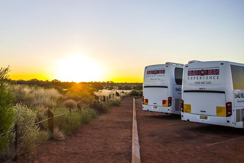 Uluru And Kata Tjuta Experience With BBQ Dinner - Hotel WA 4