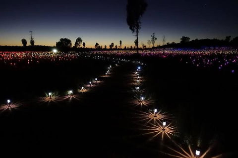 Uluru Field Of Light Sunrise Tour - Hotel WA 2