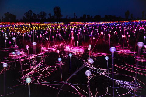 Uluru Field Of Light Sunrise Tour - Hotel WA 1