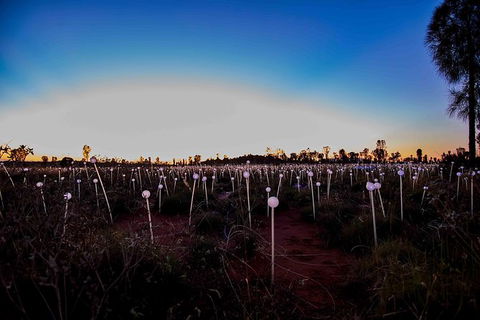 Uluru Field Of Light Sunrise Tour - Hotel WA 8