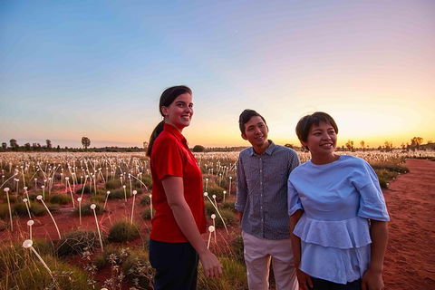 Uluru Field Of Light Sunrise Tour - Hotel WA 11