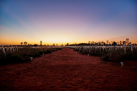 Uluru Field Of Light Sunrise Tour - Hotel WA 14