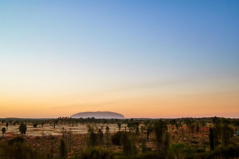 Uluru Field Of Light Sunrise Tour - Hotel WA 12