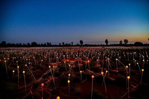 Uluru Field Of Light Sunrise Tour - Hotel WA 7
