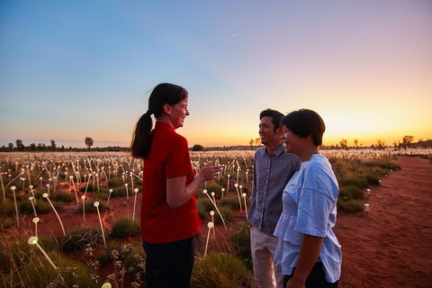 Uluru Field Of Light Sunrise Tour - Hotel WA 9