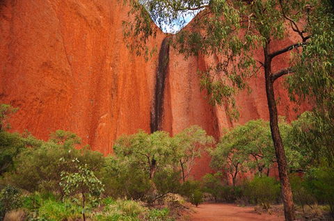 Uluru Sunrise And Guided Base Walk - Hotel WA 14