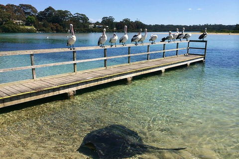The Eurobodalla Experience (Full Day Private Tour Including Lunch) - Hotel WA 0
