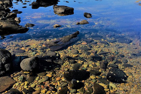 The Eurobodalla Experience (Full Day Private Tour Including Lunch) - Hotel WA 14