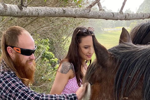 The Eurobodalla Experience (Full Day Private Tour Including Lunch) - Hotel WA 23