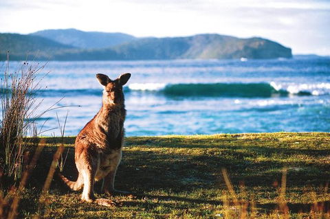 The Eurobodalla Experience (Full Day Private Tour Including Lunch) - Hotel WA 7