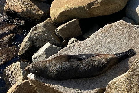 The Eurobodalla Experience (Full Day Private Tour Including Lunch) - Hotel WA 8