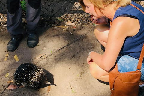 The Eurobodalla Experience (Full Day Private Tour Including Lunch) - Hotel WA 18