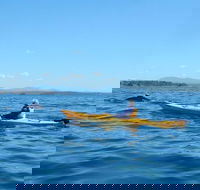 Whale Watching by Sea Kayak in Batemans Bay - Hotel WA