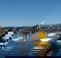 Batemans Bay Oyster Tasting Kayak Tour - Hotel WA