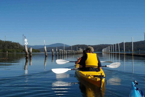Batemans Bay Oyster Tasting Kayak Tour - Hotel WA 7