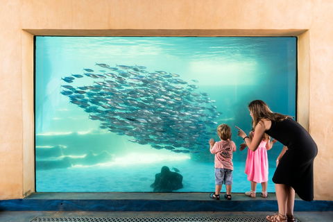 AQWA The Aquarium Of Western Australia - Hotel WA 0