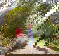 Arthurs Seat Circuit Walk - Hotel WA