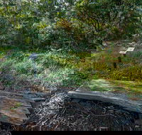 Browns Forest Loop Trail - Hotel WA