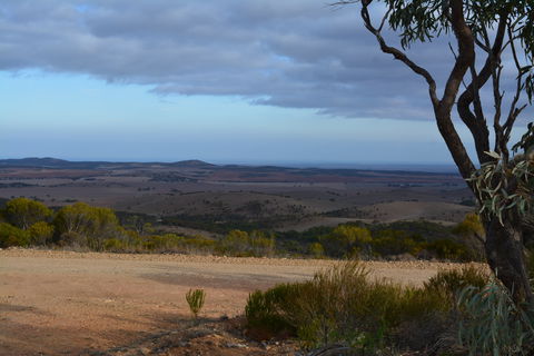 Cleve Hills Scenic Drive & Lookout - Hotel WA 1