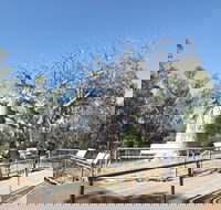 Gregory's Tree Timber Creek - Hotel WA