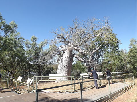 Gregory's Tree, Timber Creek - Hotel WA 0