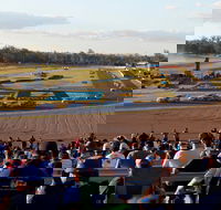 Ipswich Motorsport Precinct - Hotel WA