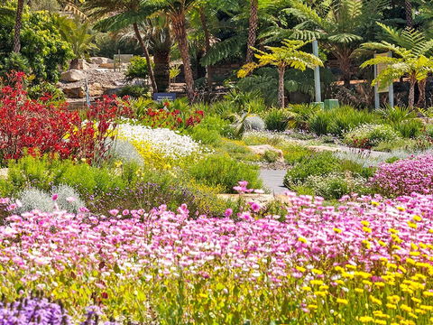 Jurassic Garden AR Experience - Hotel WA 0