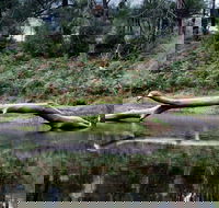 Kayaking Upper Tuross River and Bumbo Lake - Hotel WA