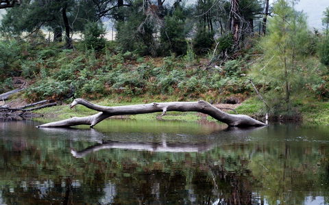 Kayaking Upper Tuross River And Bumbo Lake - Hotel WA 0