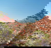 Lark Quarry Conservation Park - Hotel WA